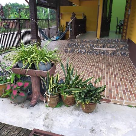 Rumah Tumpangan Di Kuala Terengganu, Terengganu Homestay D Dış mekan fotoğraf
