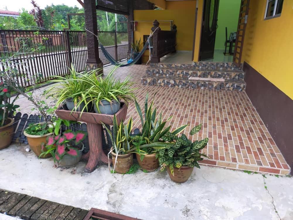 Rumah Tumpangan Di Kuala Terengganu, Terengganu Homestay D Dış mekan fotoğraf